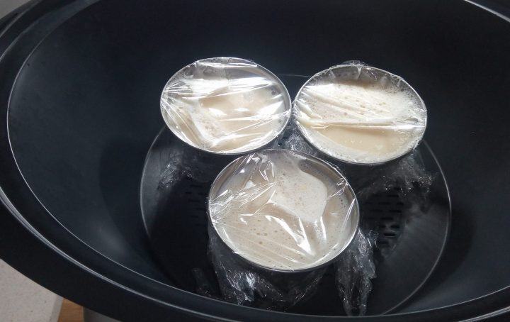 Flan varoma en la Thermomix.