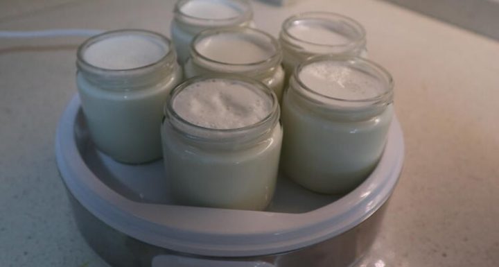 Yogurtera para hacer yogur casero