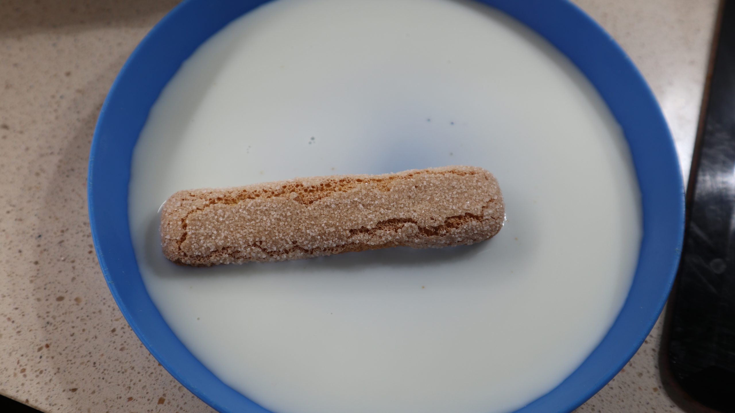 capas-flan-bizcochos-tarta-navidad capas flan bizcochos tarta navidad