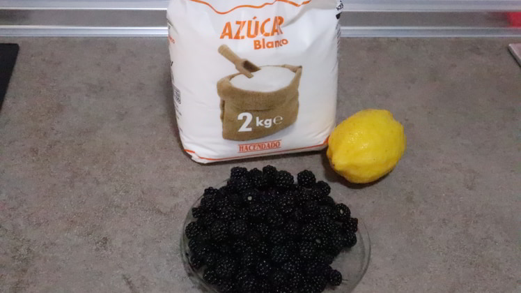 Los ingredientes para hacer mermelada de mora con Mambo