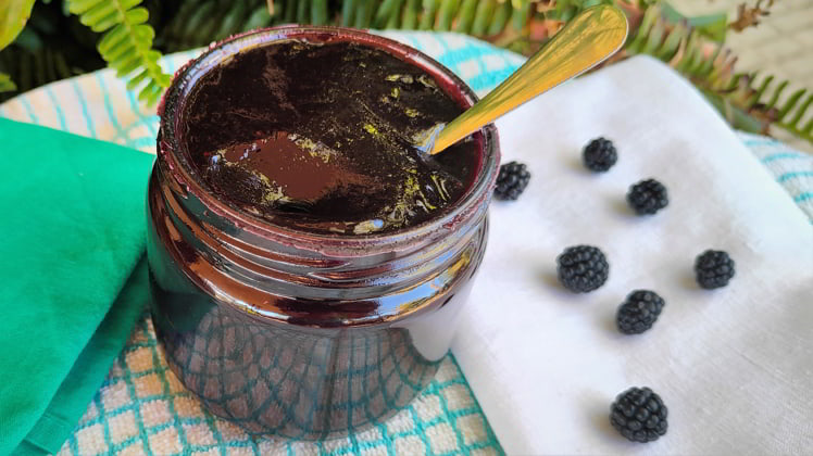 Como hacer con Mambo de mermelada de mora silvetre