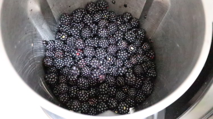 Ponemos las moras y las trituramos